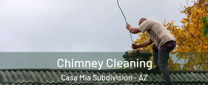 Chimney Cleaning Casa Mia Subdivision - AZ