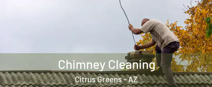 Chimney Cleaning Citrus Greens - AZ