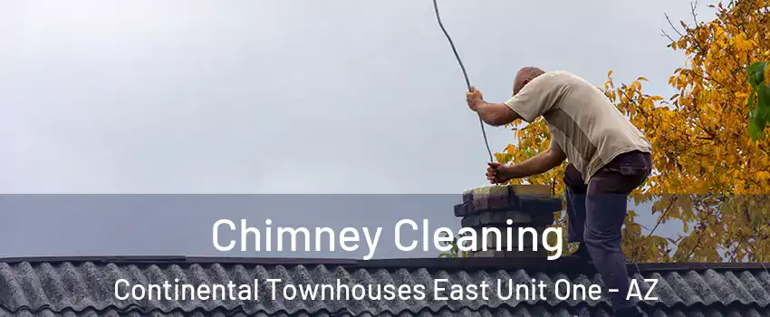 Chimney Cleaning Continental Townhouses East Unit One - AZ