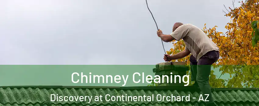 Chimney Cleaning Discovery at Continental Orchard - AZ