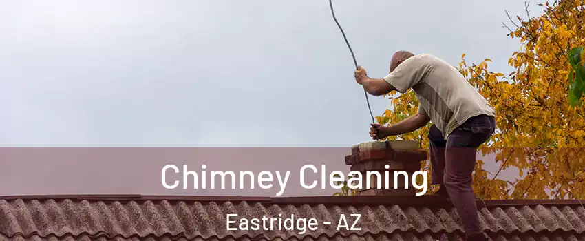 Chimney Cleaning Eastridge - AZ