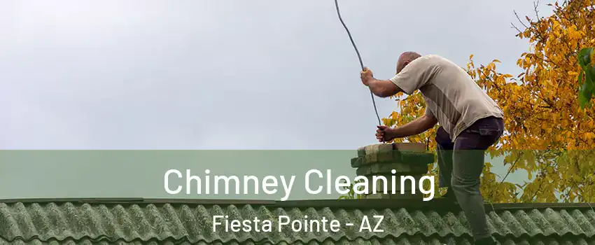 Chimney Cleaning Fiesta Pointe - AZ
