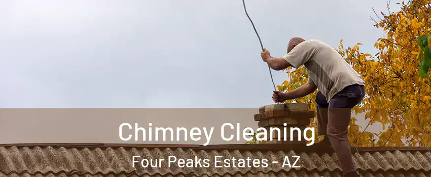 Chimney Cleaning Four Peaks Estates - AZ