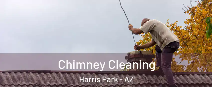 Chimney Cleaning Harris Park - AZ