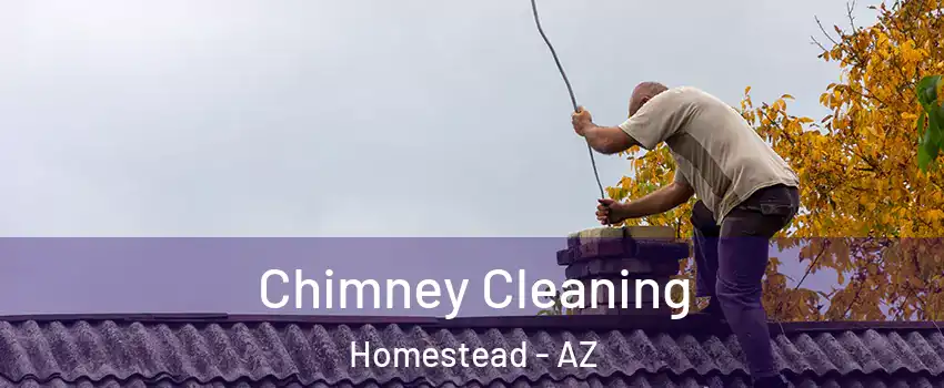 Chimney Cleaning Homestead - AZ