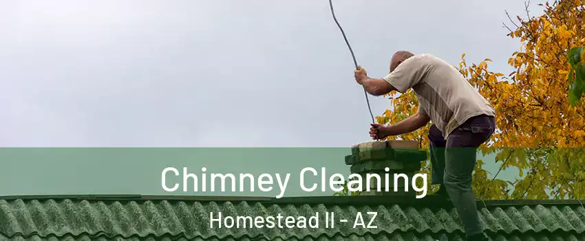Chimney Cleaning Homestead II - AZ