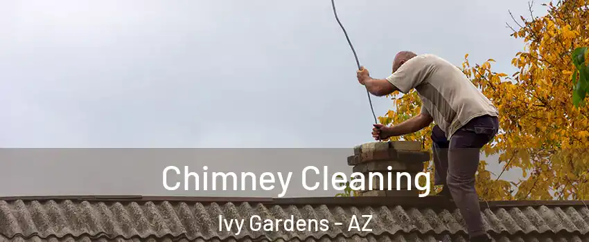 Chimney Cleaning Ivy Gardens - AZ