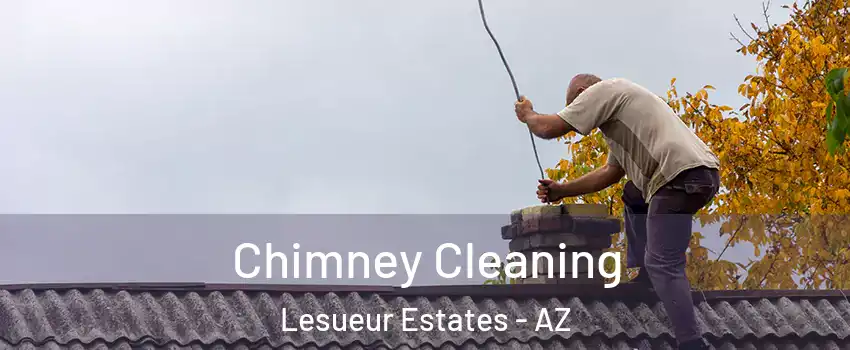 Chimney Cleaning Lesueur Estates - AZ