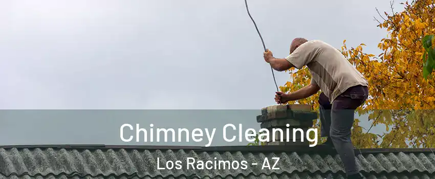 Chimney Cleaning Los Racimos - AZ