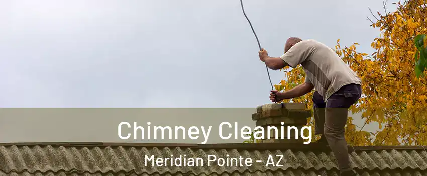 Chimney Cleaning Meridian Pointe - AZ