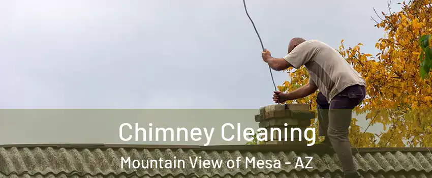 Chimney Cleaning Mountain View of Mesa - AZ