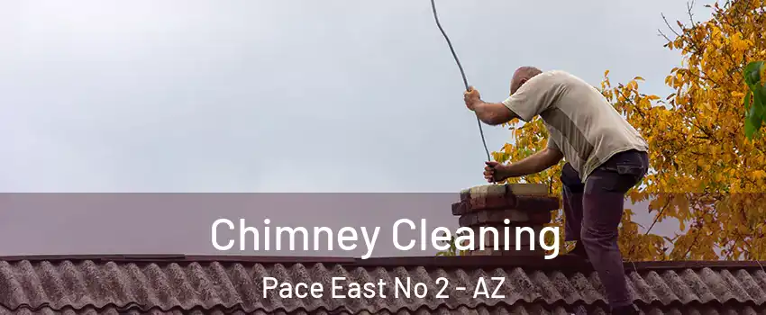 Chimney Cleaning Pace East No 2 - AZ