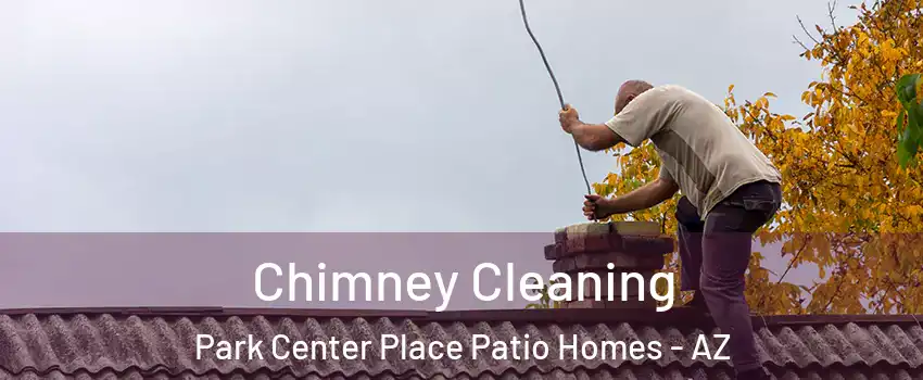 Chimney Cleaning Park Center Place Patio Homes - AZ