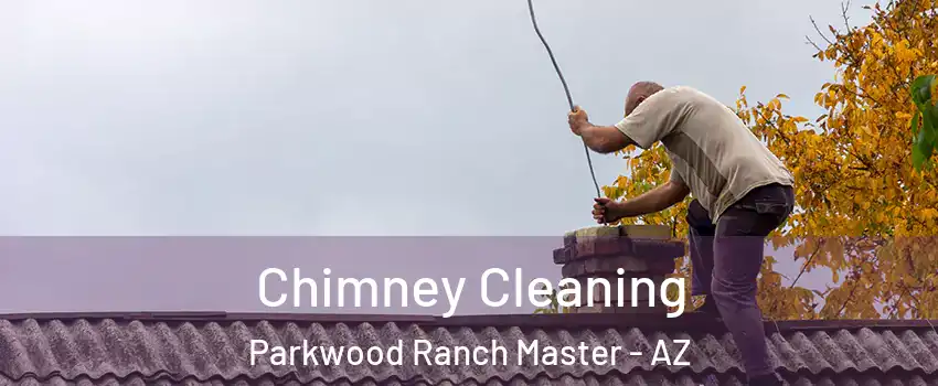 Chimney Cleaning Parkwood Ranch Master - AZ