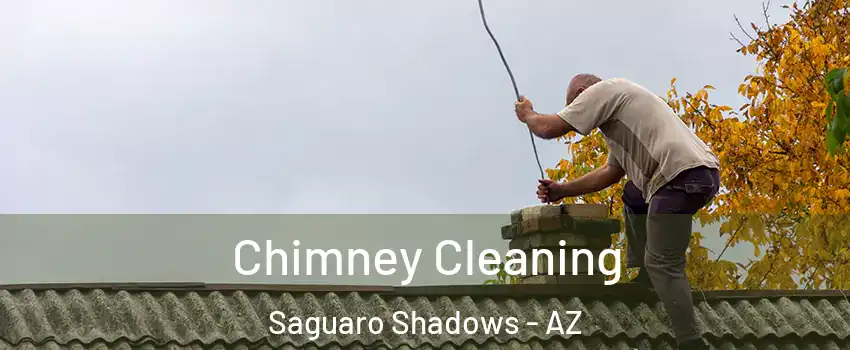 Chimney Cleaning Saguaro Shadows - AZ