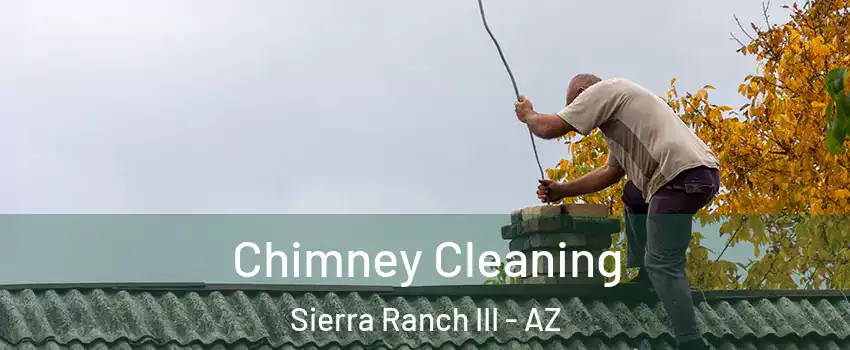 Chimney Cleaning Sierra Ranch III - AZ
