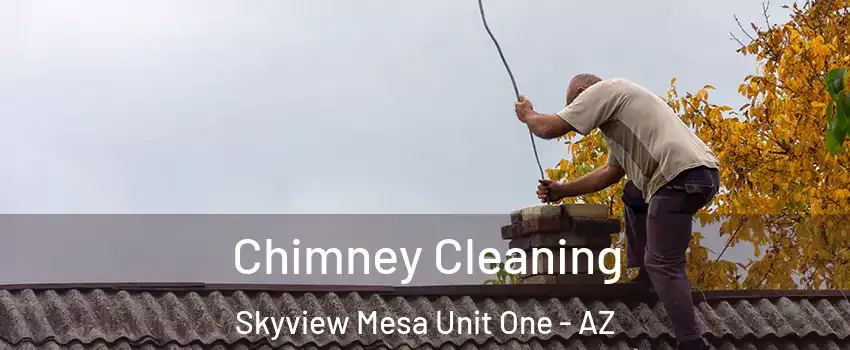 Chimney Cleaning Skyview Mesa Unit One - AZ