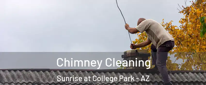 Chimney Cleaning Sunrise at College Park - AZ