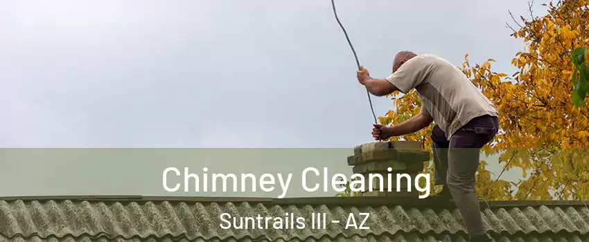 Chimney Cleaning Suntrails III - AZ