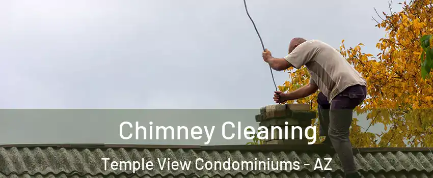 Chimney Cleaning Temple View Condominiums - AZ