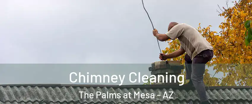 Chimney Cleaning The Palms at Mesa - AZ