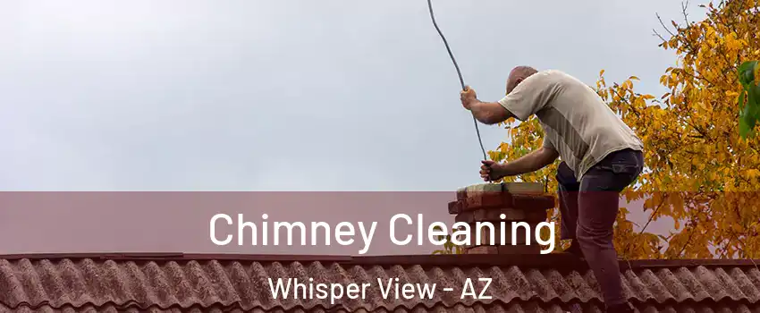 Chimney Cleaning Whisper View - AZ