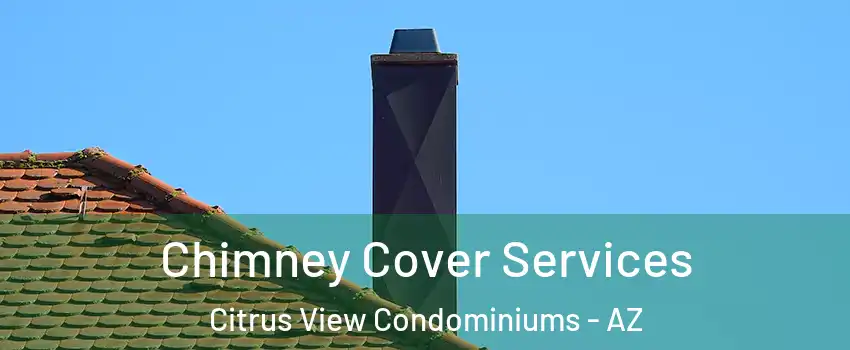 Chimney Cover Services Citrus View Condominiums - AZ