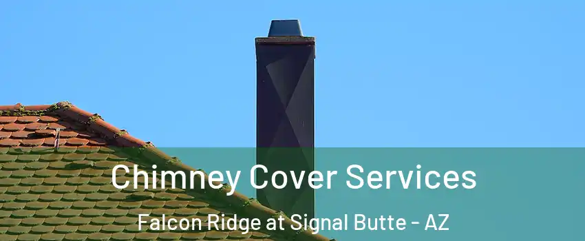 Chimney Cover Services Falcon Ridge at Signal Butte - AZ