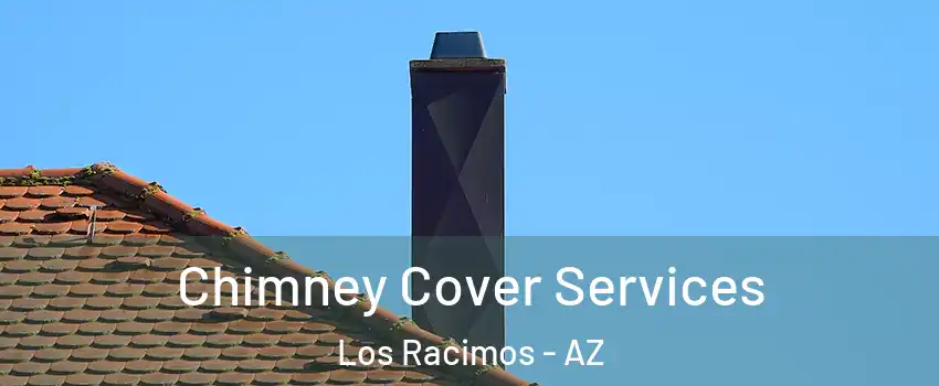 Chimney Cover Services Los Racimos - AZ