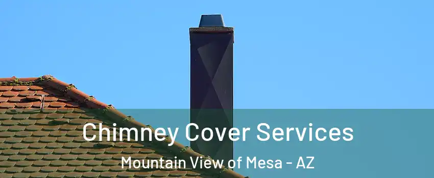 Chimney Cover Services Mountain View of Mesa - AZ
