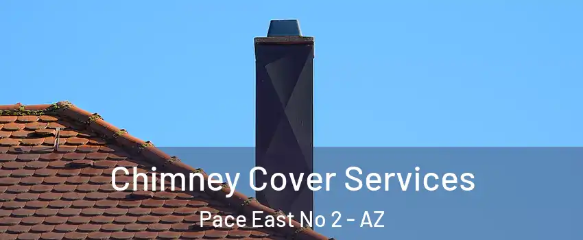 Chimney Cover Services Pace East No 2 - AZ