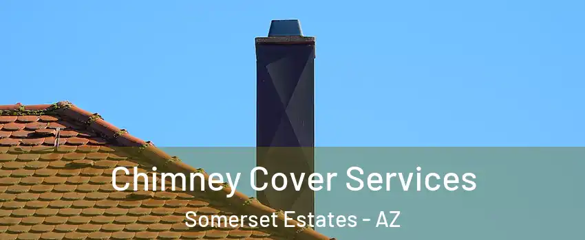 Chimney Cover Services Somerset Estates - AZ