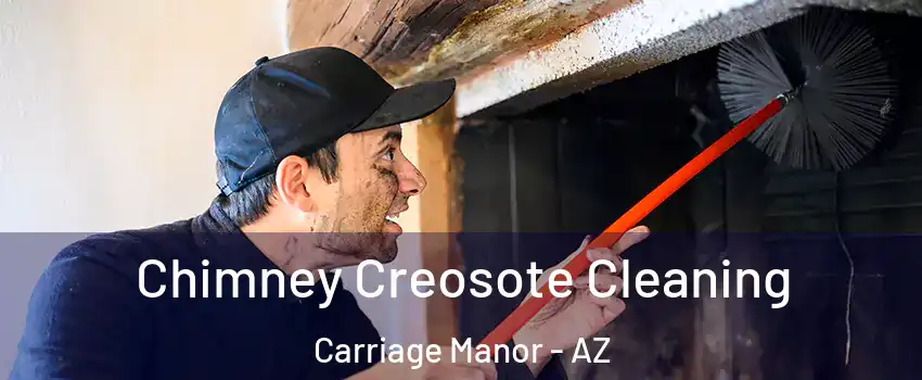 Chimney Creosote Cleaning Carriage Manor - AZ