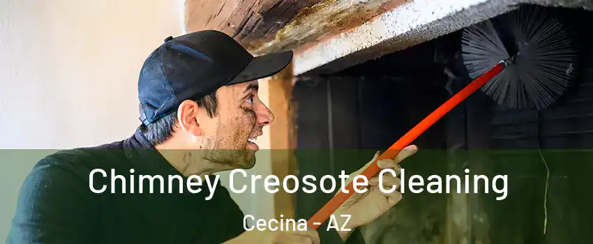 Chimney Creosote Cleaning Cecina - AZ