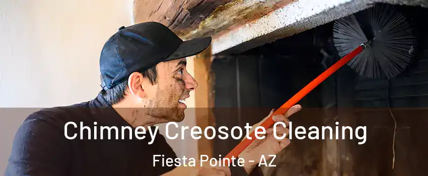 Chimney Creosote Cleaning Fiesta Pointe - AZ