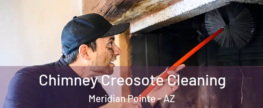 Chimney Creosote Cleaning Meridian Pointe - AZ
