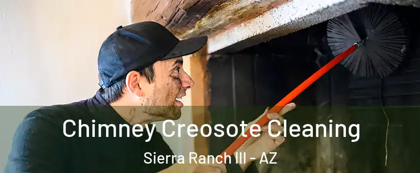 Chimney Creosote Cleaning Sierra Ranch III - AZ