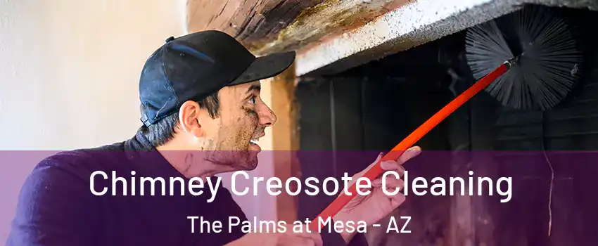 Chimney Creosote Cleaning The Palms at Mesa - AZ