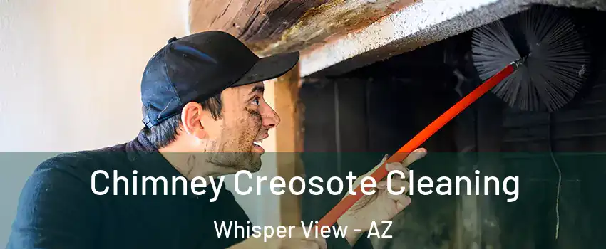 Chimney Creosote Cleaning Whisper View - AZ