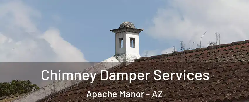 Chimney Damper Services Apache Manor - AZ