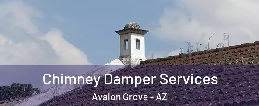 Chimney Damper Services Avalon Grove - AZ