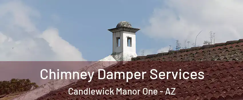 Chimney Damper Services Candlewick Manor One - AZ