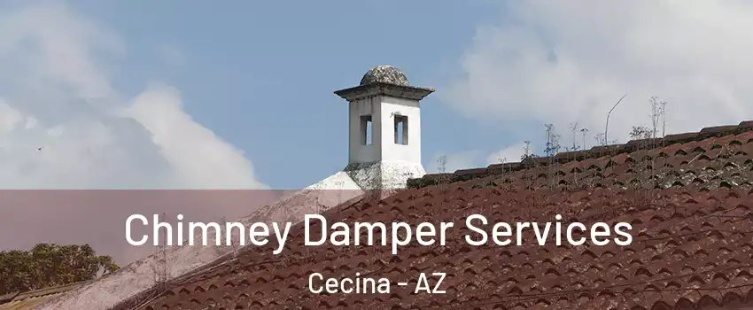 Chimney Damper Services Cecina - AZ