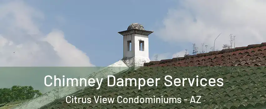 Chimney Damper Services Citrus View Condominiums - AZ