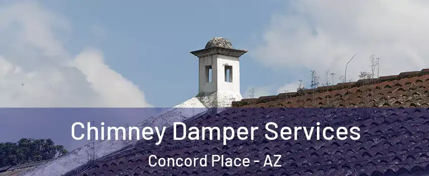 Chimney Damper Services Concord Place - AZ