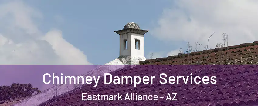 Chimney Damper Services Eastmark Alliance - AZ