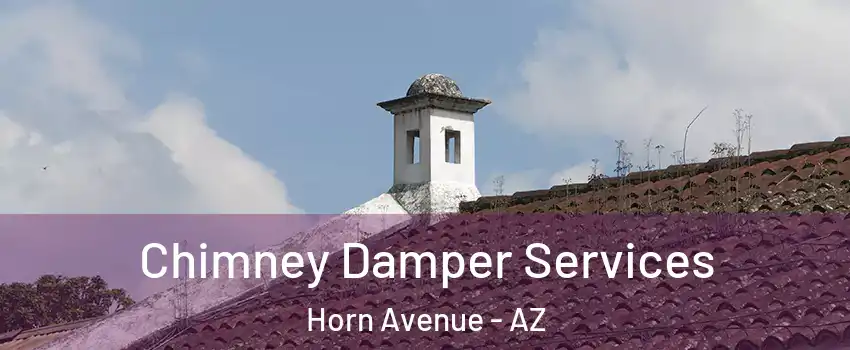Chimney Damper Services Horn Avenue - AZ