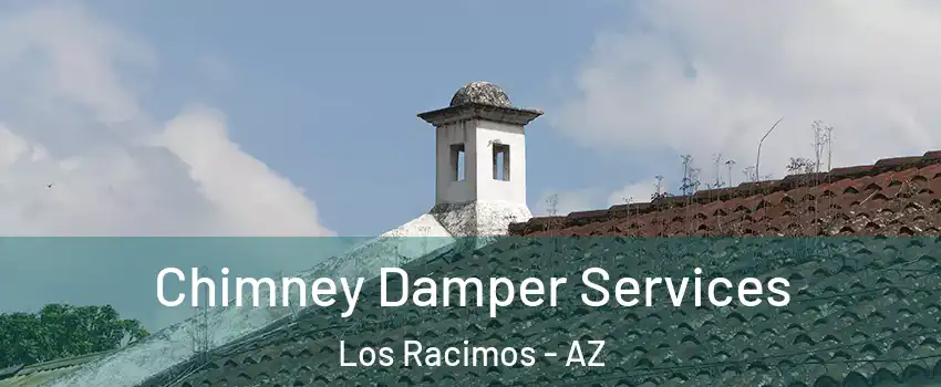 Chimney Damper Services Los Racimos - AZ