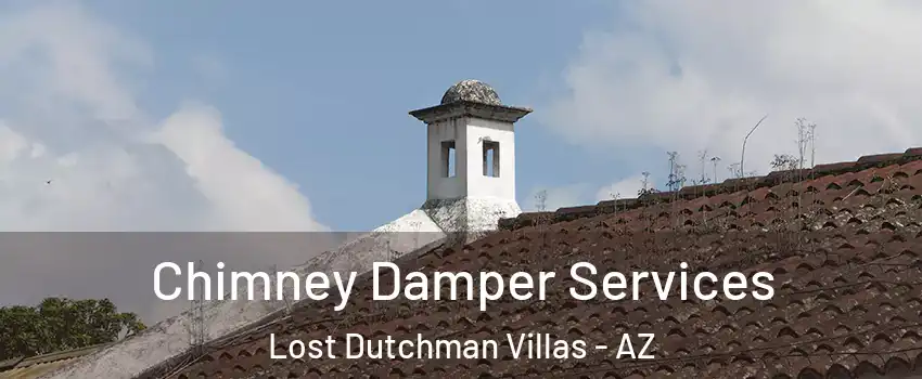 Chimney Damper Services Lost Dutchman Villas - AZ