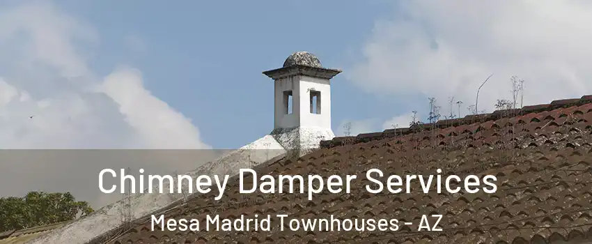 Chimney Damper Services Mesa Madrid Townhouses - AZ